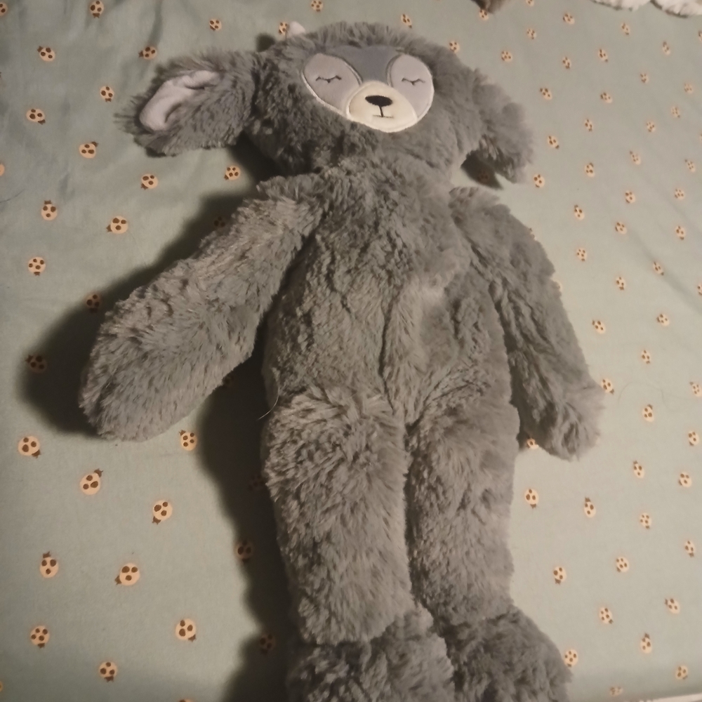 Fluffy Gray Goat